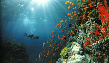 Existe-t-il vraiment des personnes qui voient par la lumi�re d�Allah 