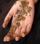 Les dangers du henn� noir 