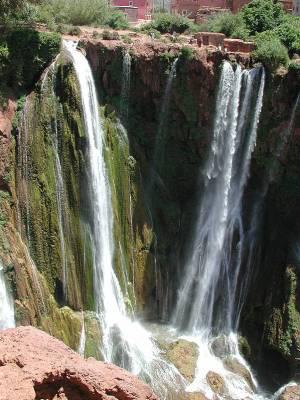 La D�licatesse du Proph�te (saw) !