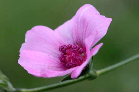 Les Ab�mes de l'oubli