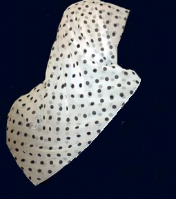 Le hidjab est -il  obligatoire en islam ?(suite)