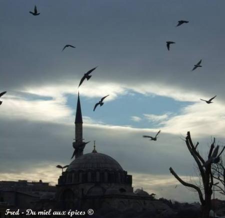  Quel est le r�le de la purification de l��me dans le dynamisme du mouvement islamique, dans sa floraison et dans son influence sur les gens ? 