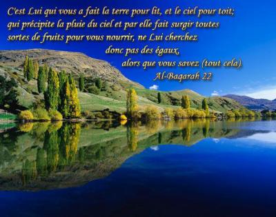 Les différentes manifestations d'Allâh(swt) !