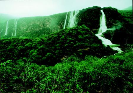 40 bonnes raisons pourprier sur le Proph�te [sws]