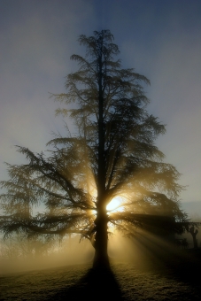 connaissance par les signes !