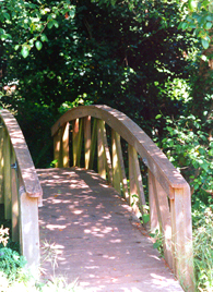 Le pont de l'amiti�,de la reconciliation et de l'amour !