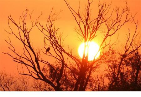 la morsure du soleil