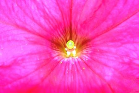 laisse tes sens te guider !